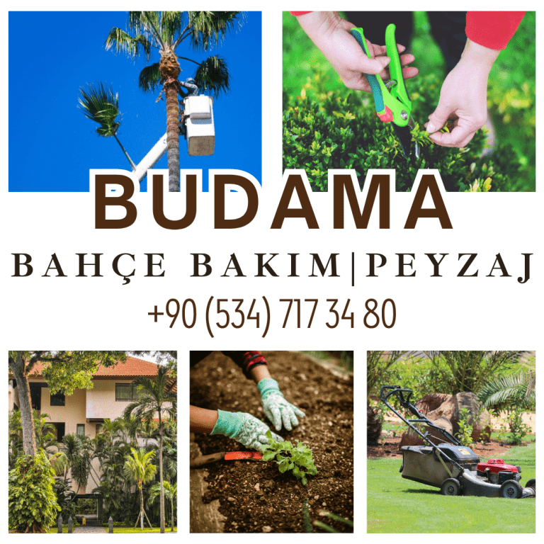 ağaç budama, bahçe bakım istanbul