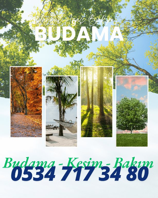 ağaç budama ekibi istanbul