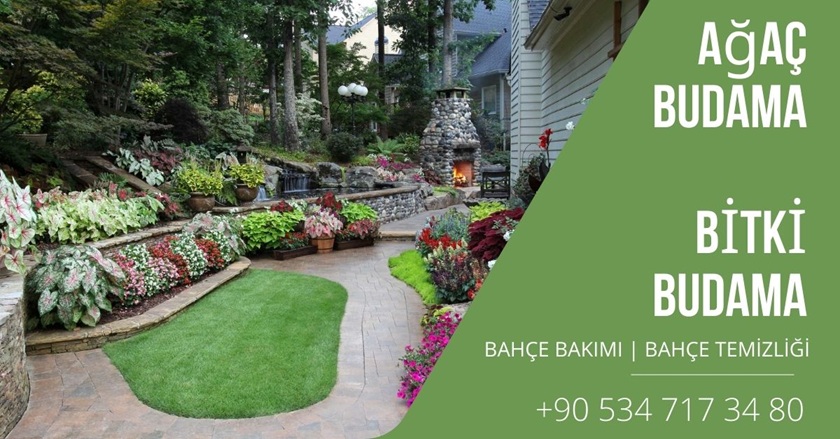 bebek ağaç budama, bebek bahçe bitki bakımı